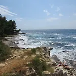 Stoja *