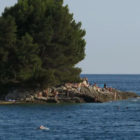 Stoja Pula